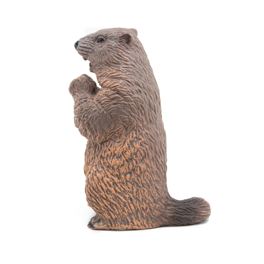 Figurine Marmotte Papo en PVC, thème forêt, Collection Animaux sauvages, jouet éducatif idéal pour enfants et collectionneurs