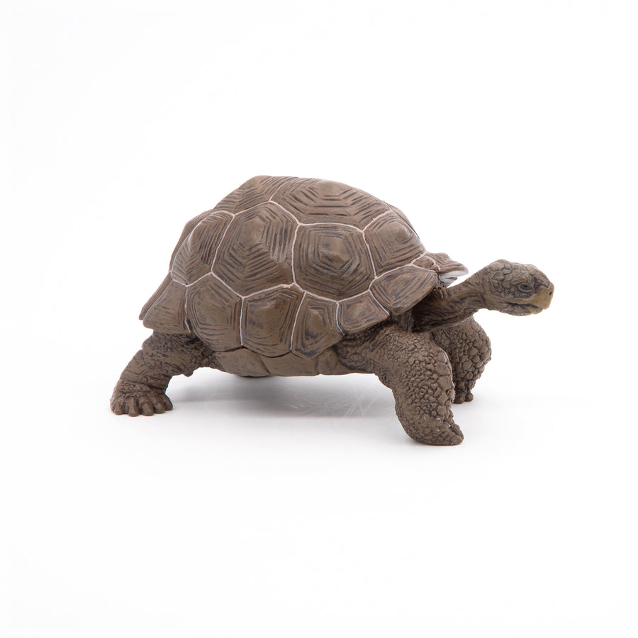 Figurine Tortue des Galápagos Papo en PVC, thème reptiles, Collection Animaux sauvages, jouet éducatif idéal pour enfants et collectionneurs