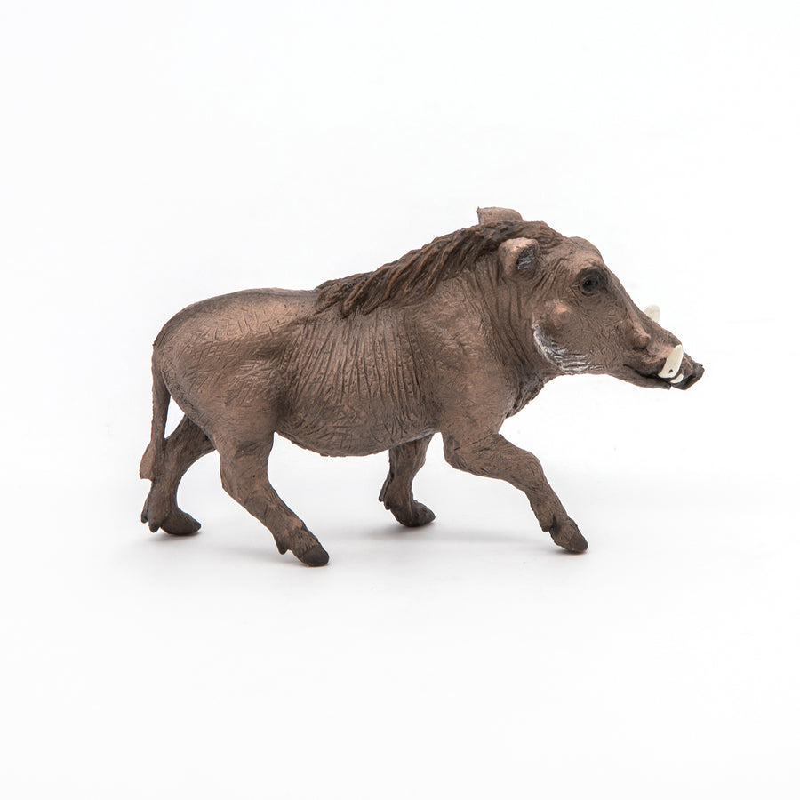 Figurine Phacochère Papo en PVC, thème savane, Collection Animaux sauvages, jouet éducatif idéal pour enfants et collectionneurs