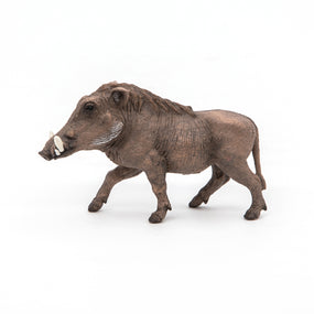 Figurine Phacochère Papo en PVC, thème savane, Collection Animaux sauvages, jouet éducatif idéal pour enfants et collectionneurs