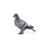 Figurine Pigeon Papo en PVC, thème oiseaux, Collection Animaux des jardins, jouet éducatif idéal pour enfants et collectionneurs