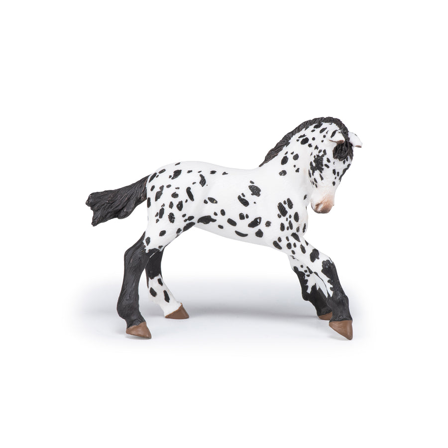 Poulain appaloosa noir Papo en PVC, Collection chevaux, jouet éducatif idéal pour enfants et collectionneurs