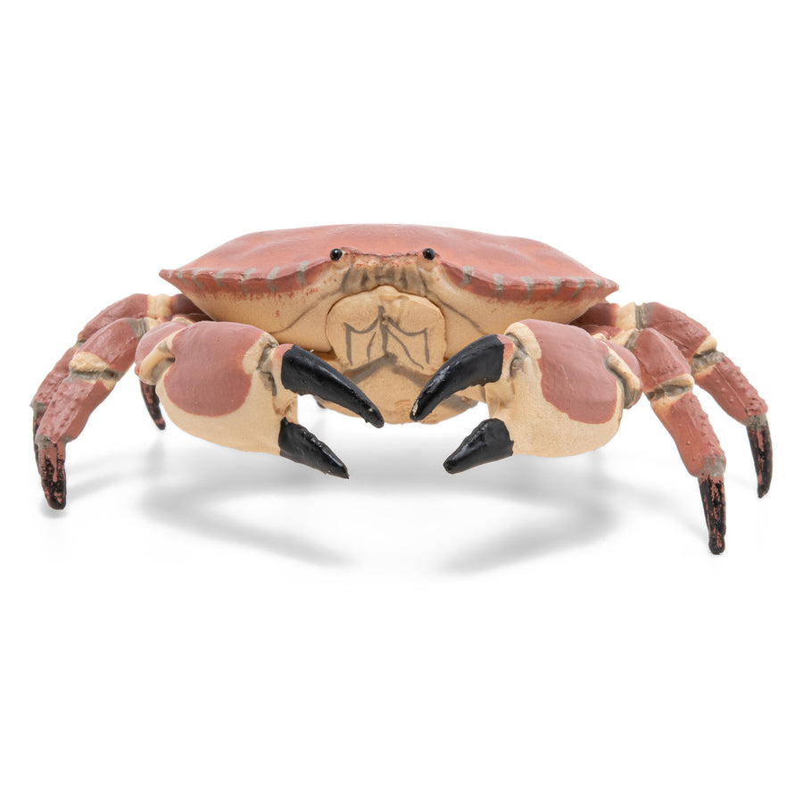 Crabe Papo en PVC, Collection animaux marins, jouet éducatif idéal pour enfants et collectionneurs